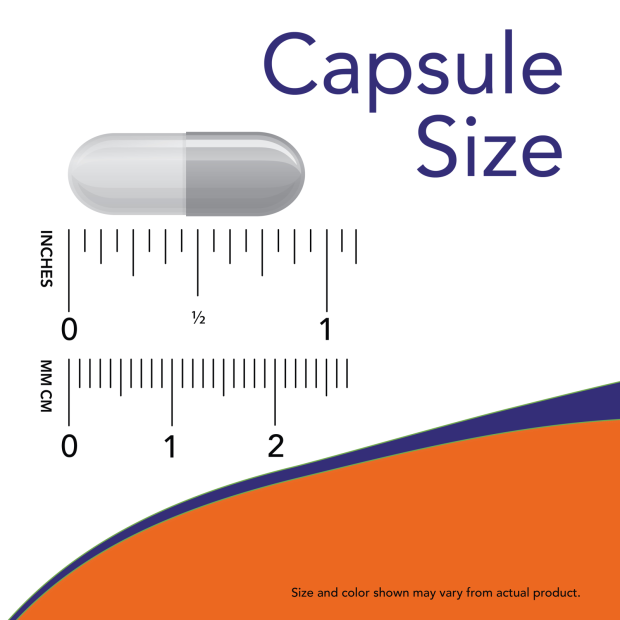 Astragalus 500 mg Veg Capsules -100cap