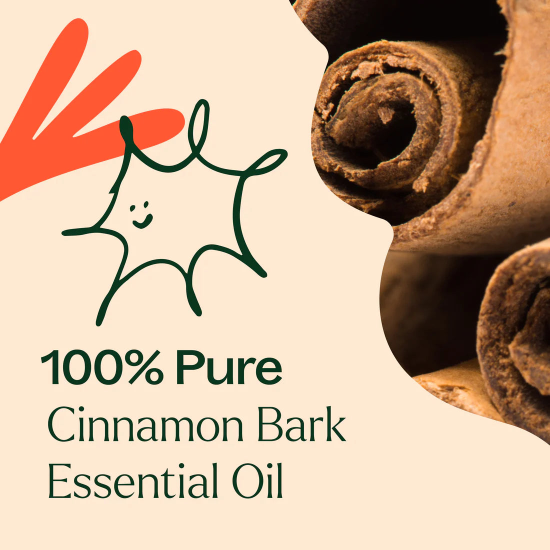 Cinnamon Bark-30 ml