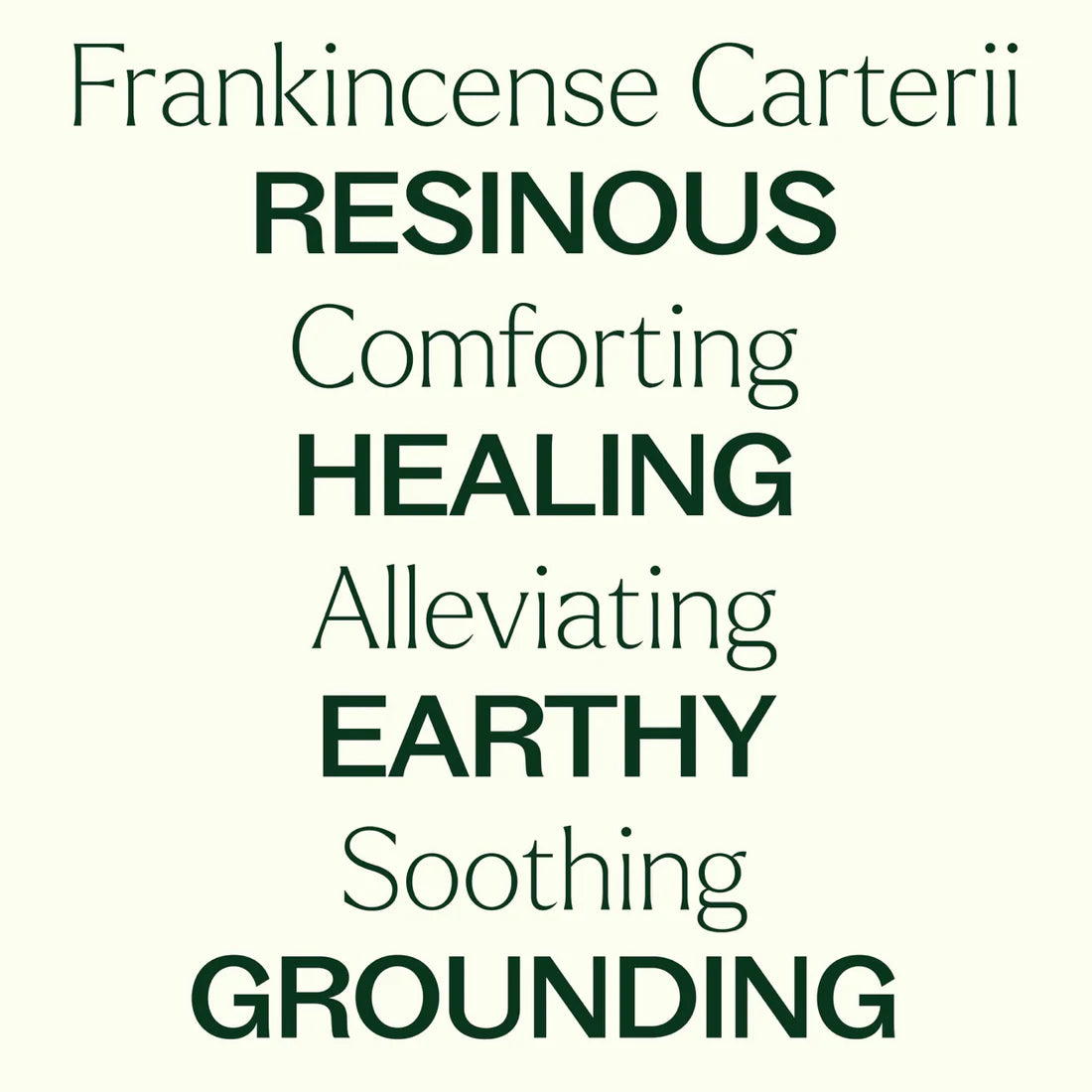Frankincense Carterii-Roll On-10ml
