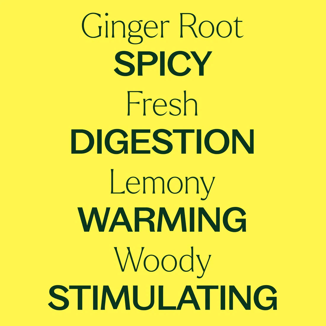 Ginger Root-30 ml