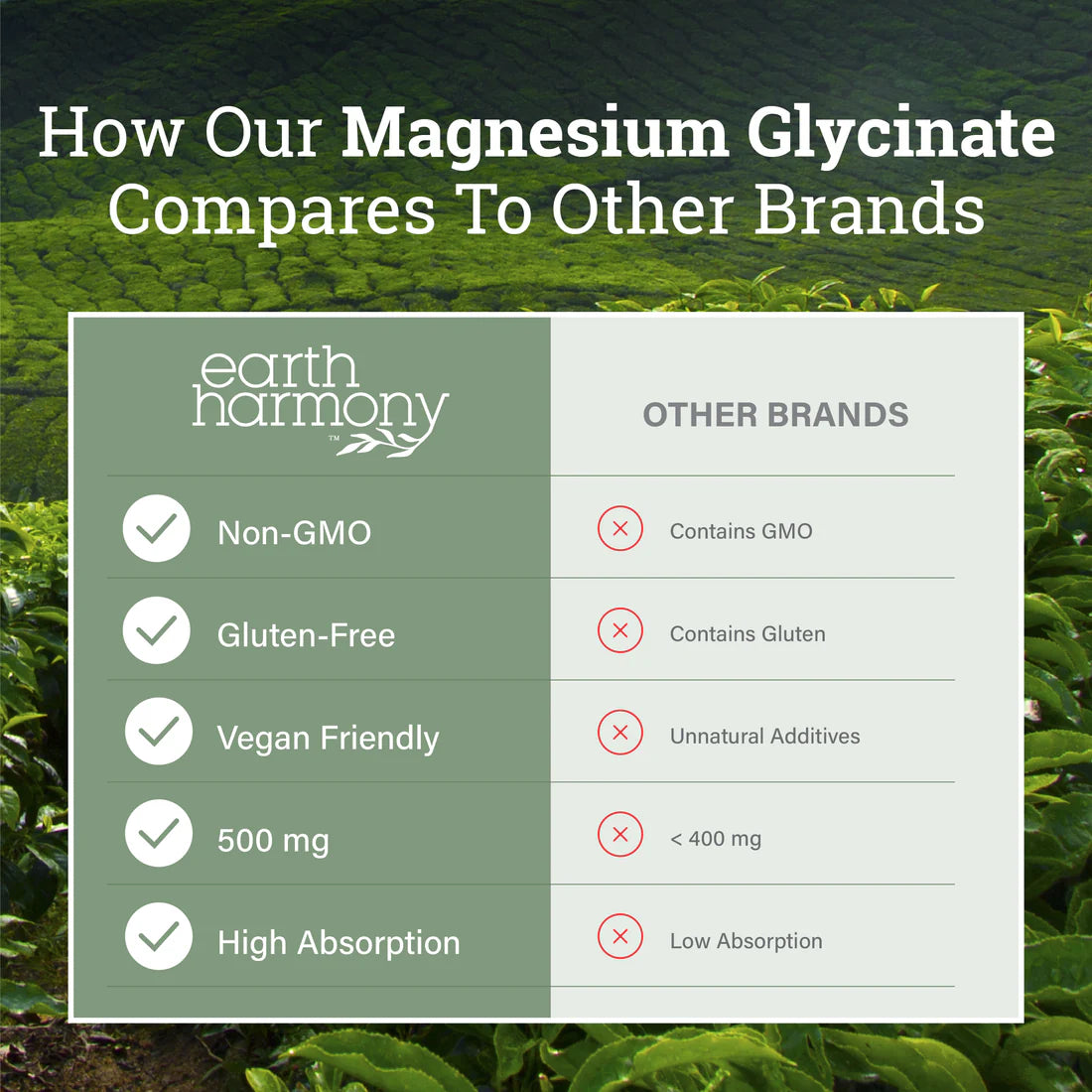 Magnesium Glycinate-120cap