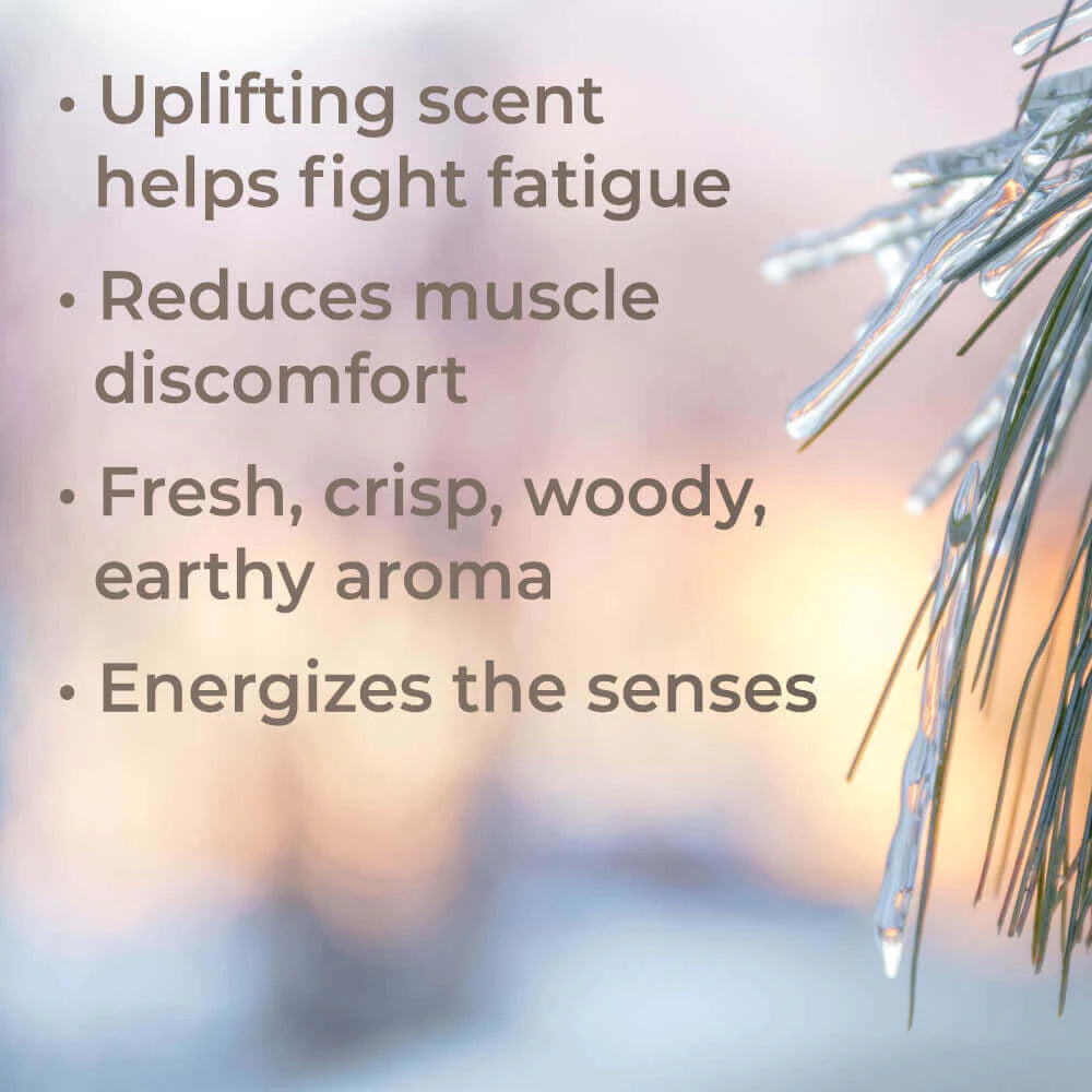 Black Spruce-10ml