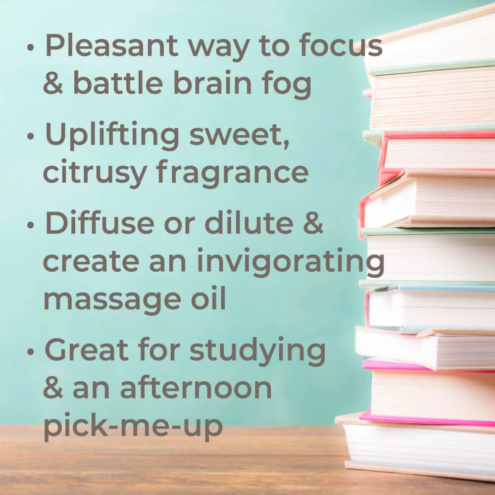 Brain Aid-10ml