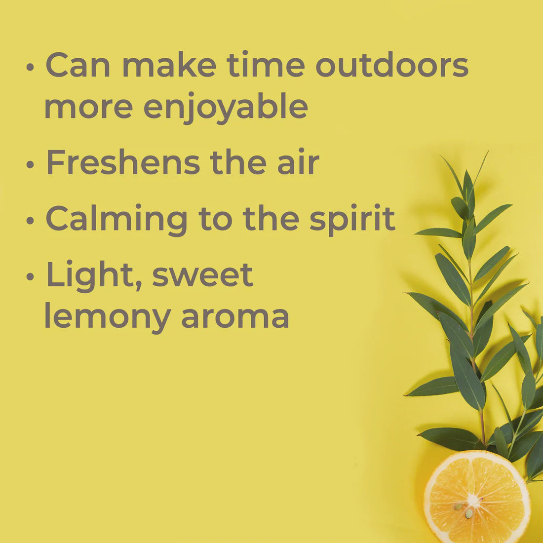 Lemon Eucalyptus-30 ml