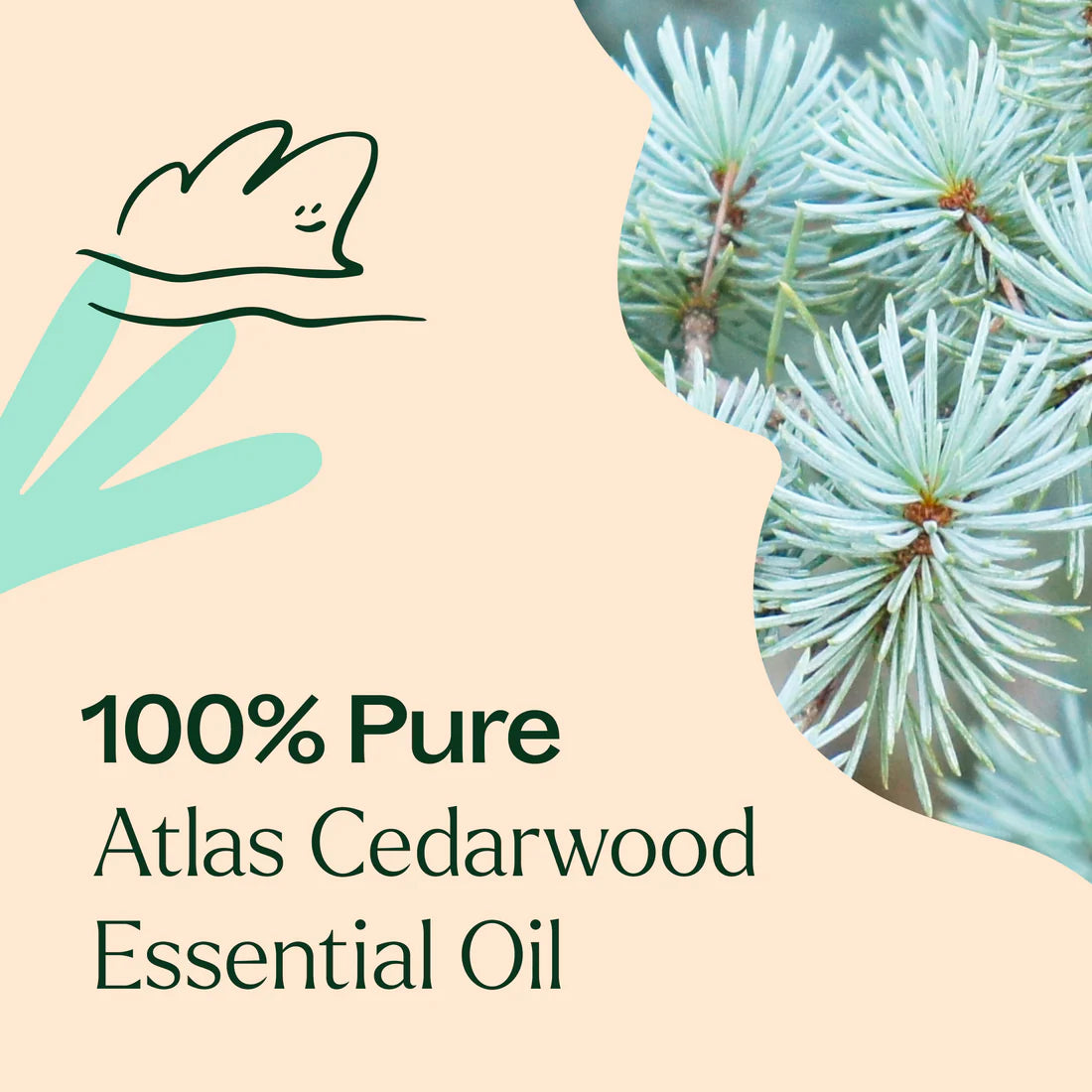 Organic Atlas Cedarwood-10ml