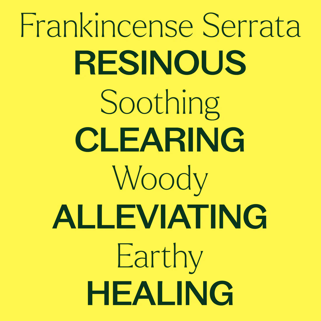 Frankincense Serrata-30ml
