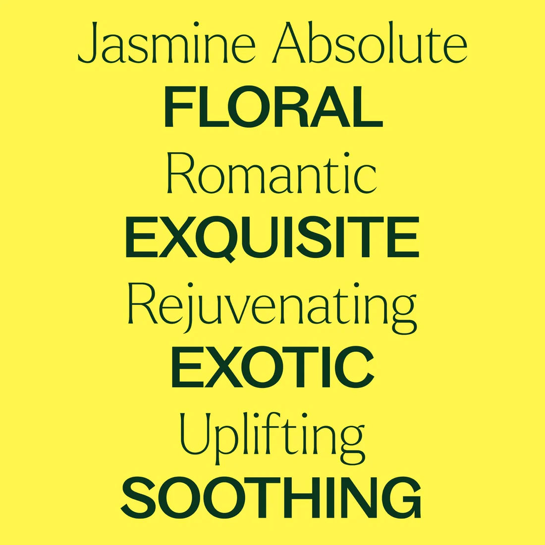 Jasmine Absolute-2.5ml