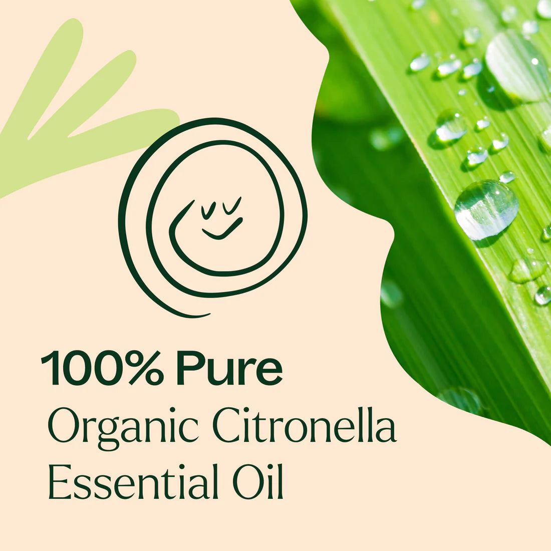 Citronella-30 ml