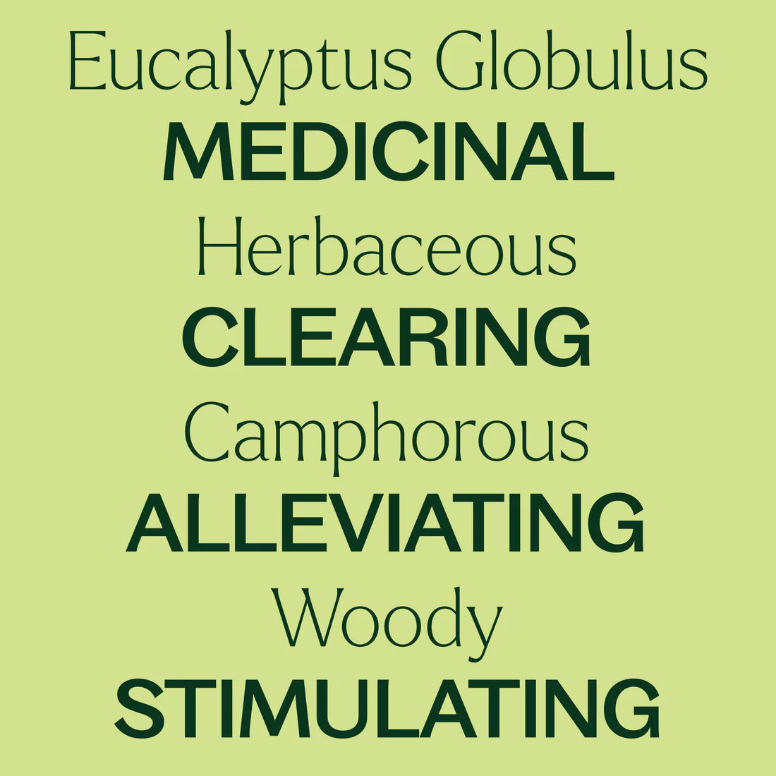 Eucalyptus Globulus -10ml