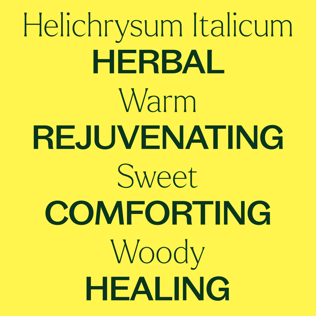 Helichrysum Italicum-2.5 ml