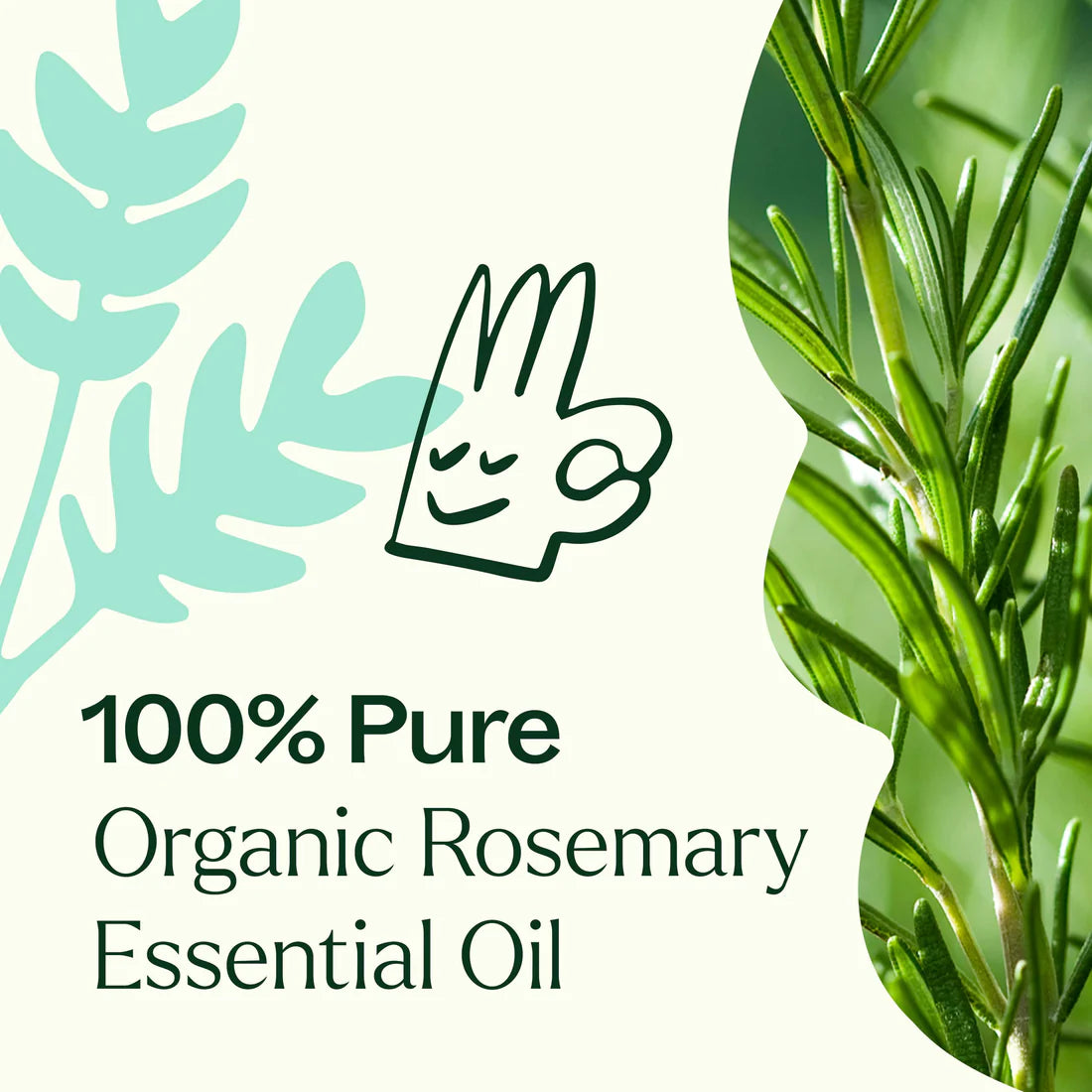 Rosemary 1,8-Cineole-30ml